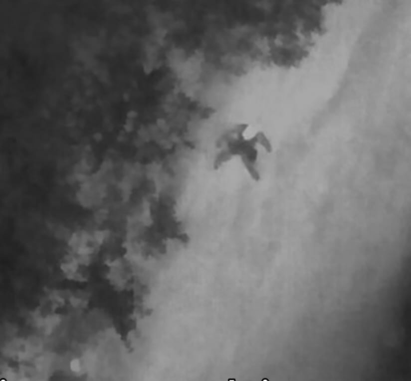 Fabinho Costa apresenta drone com visão termal para reforço da segurança em Iguaba Grande